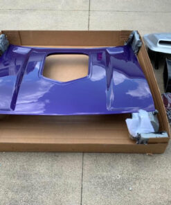 2009 challenger shaker hood for sale