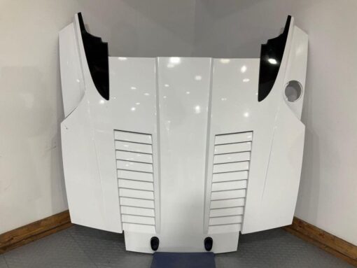 2010-2014 Lamborghini Gallardo LP560 Spyder Rear Engine Hatch Bianco Monocerus For Sale LY9C